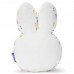 Miffy Plush-Miffy and Rose Mocchi Face Cushion Miffy