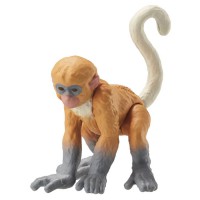 AN Ania Figure AC-11 Proboscis Monkey