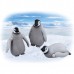 AN Ania Figure AS-31 Emperor Penguin Children