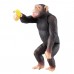 AN Ania Figure AS-14 Chimpanzee (New)